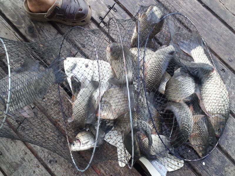 ����2 027.jpg