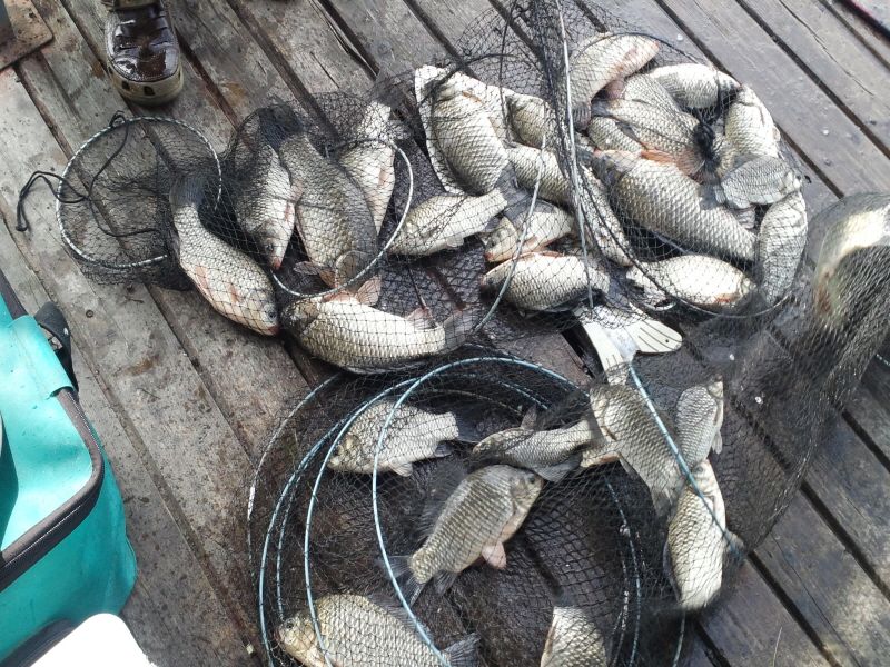 ����2 034.jpg