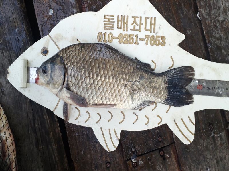 ����2 036.jpg