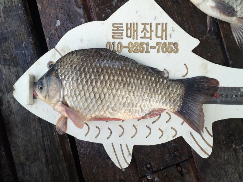 ����2 039.jpg