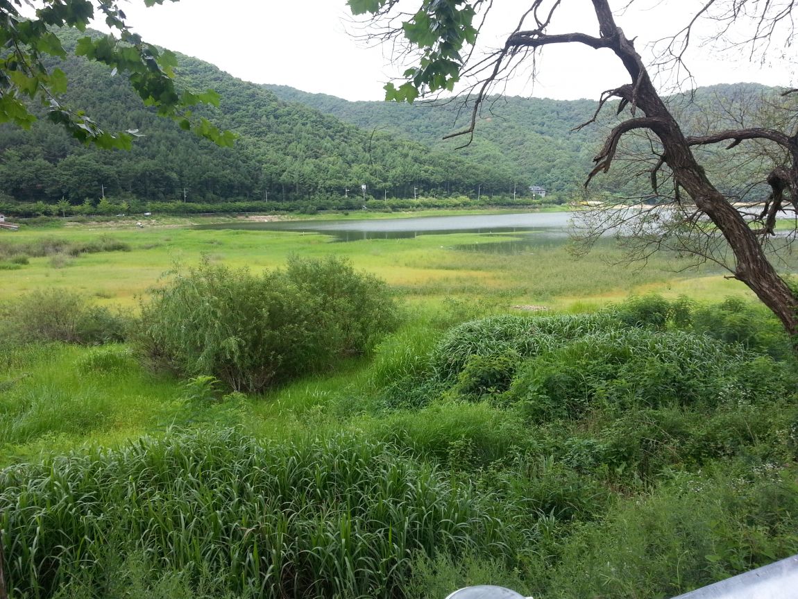 20140725_095839.jpg