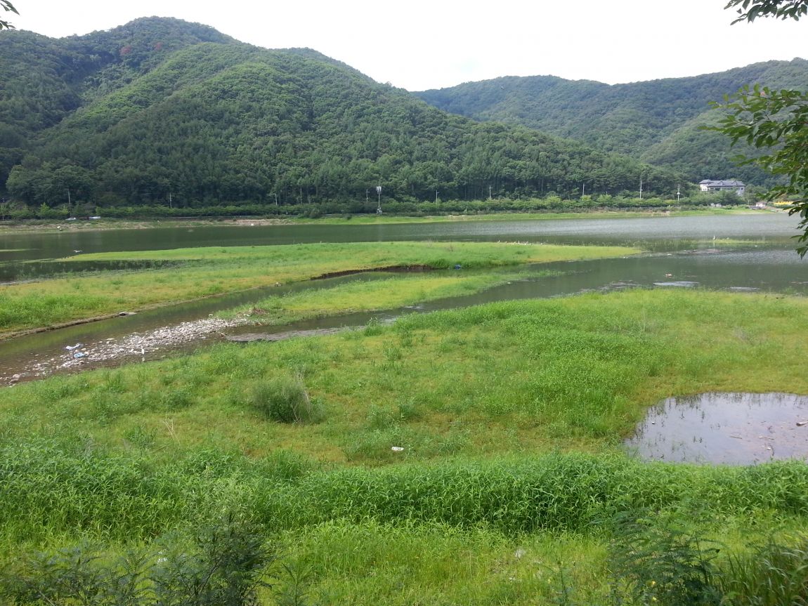 20140725_095937.jpg