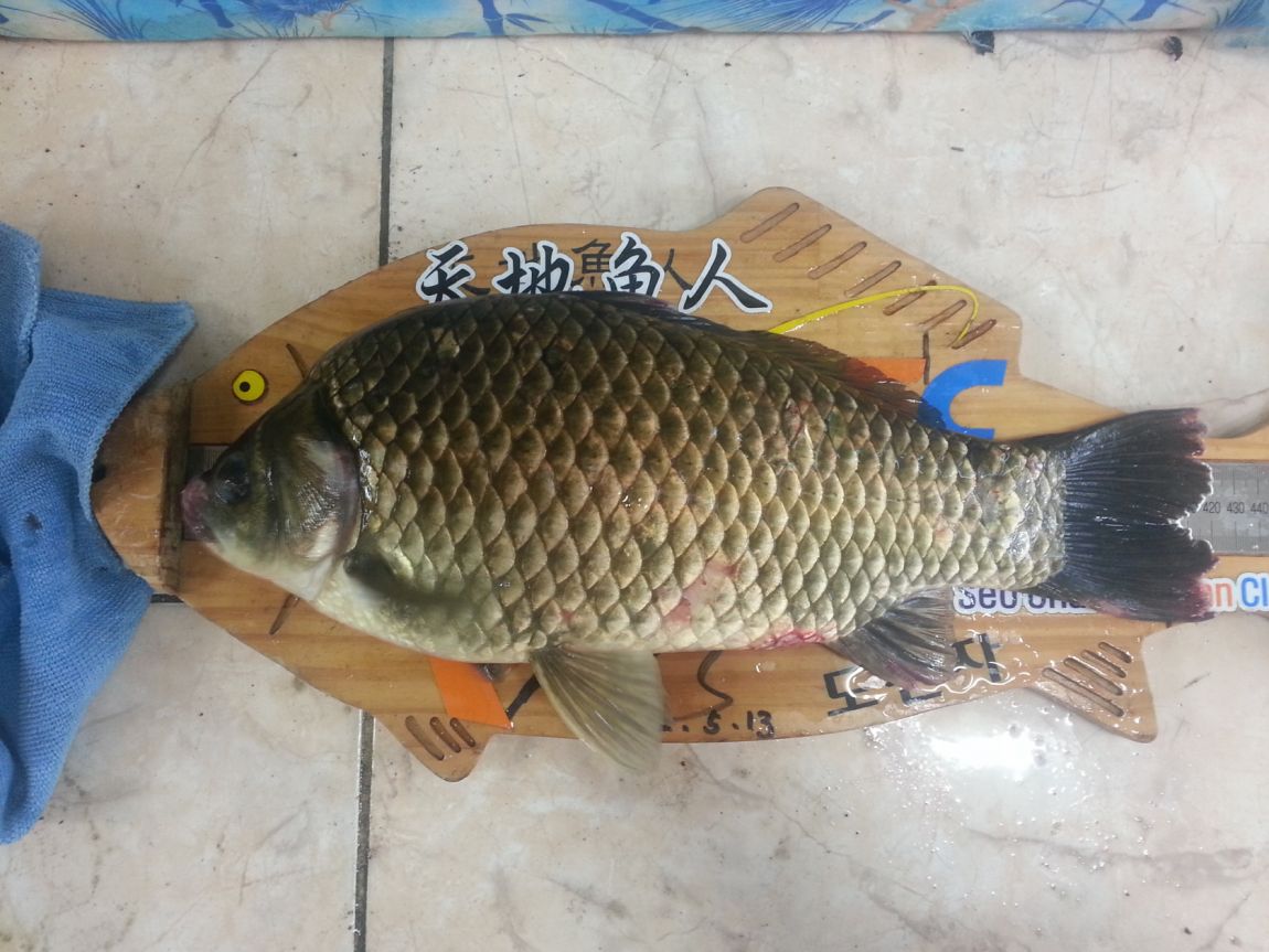 �ҷ���xx 011.jpg