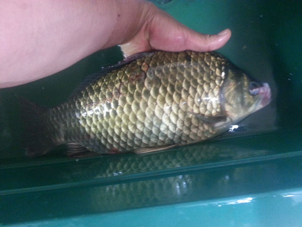 �ҷ���xx 009.jpg