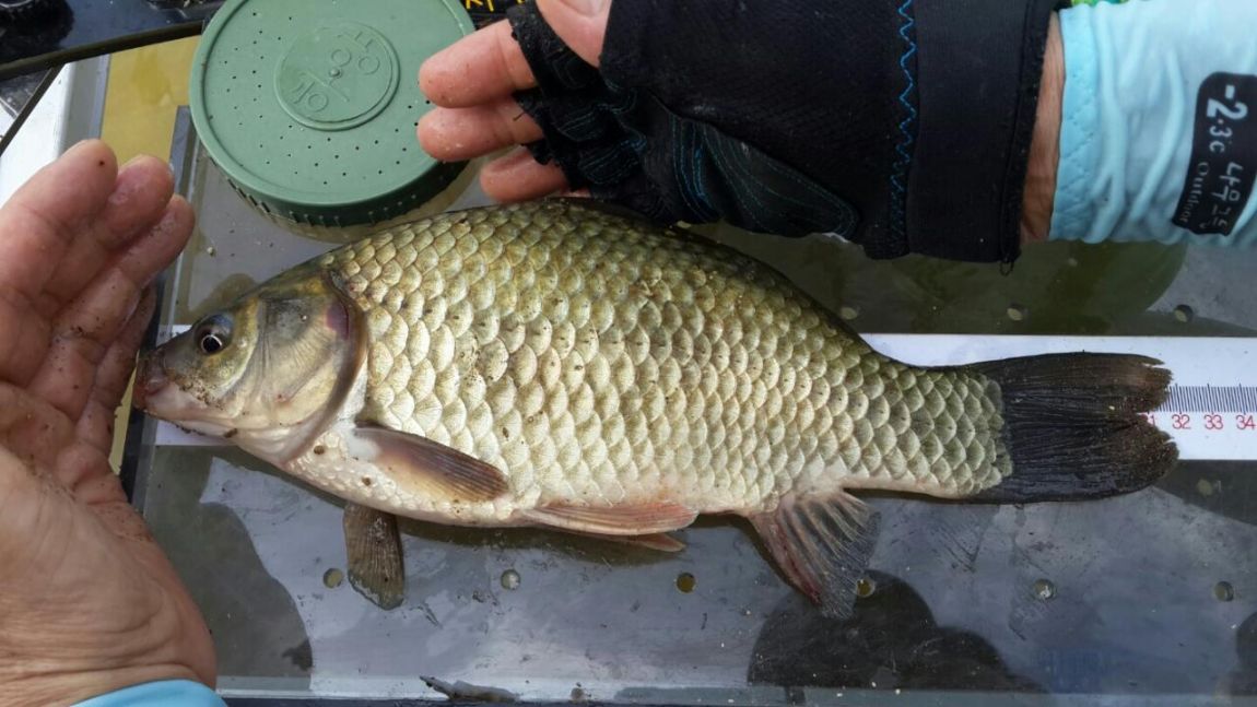 �ҷ���xx 037.jpg