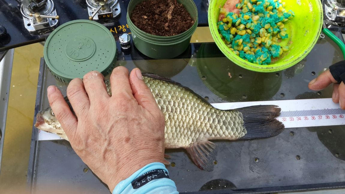 �ҷ���xx 034.jpeg