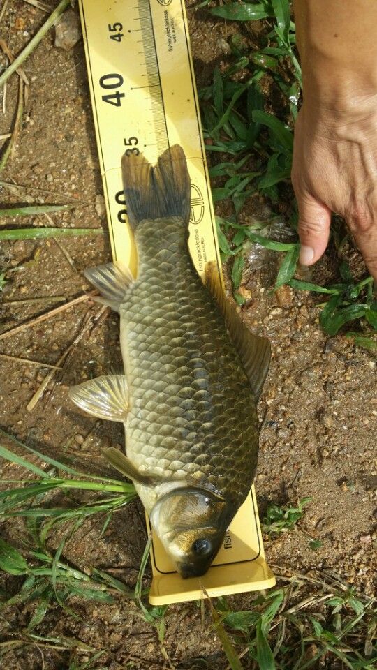 �ҷ���xx 040.jpeg