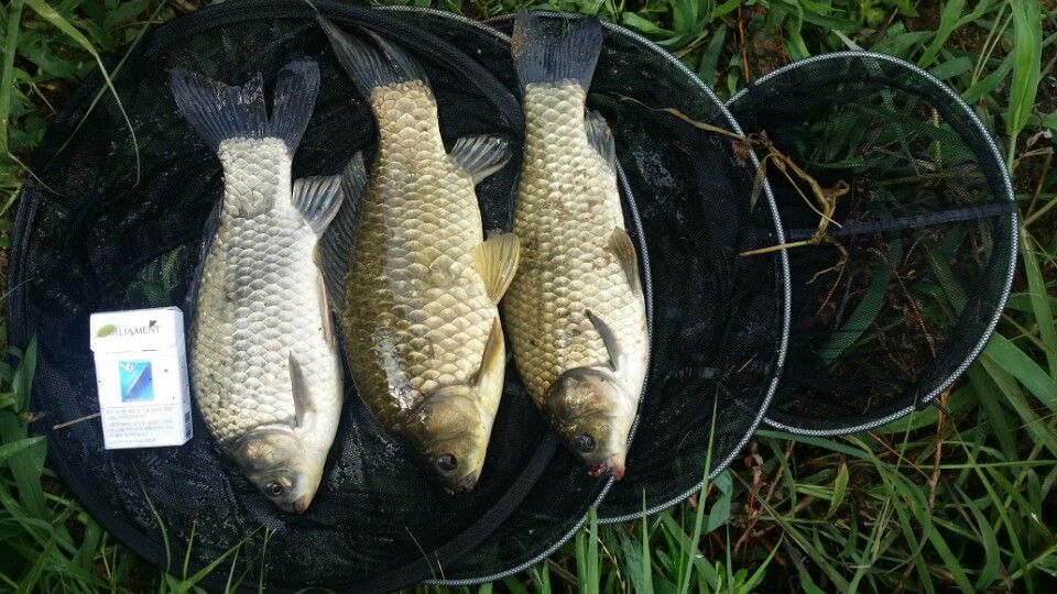 �ҷ���xx 042.jpeg