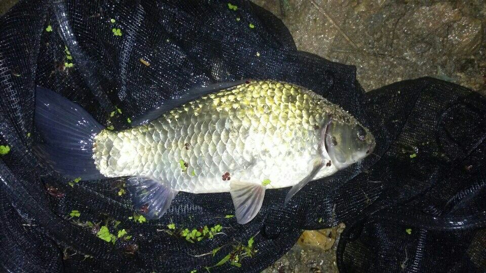 �ҷ���xx 030.jpeg