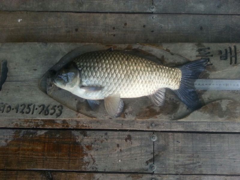 ����5 011.jpg