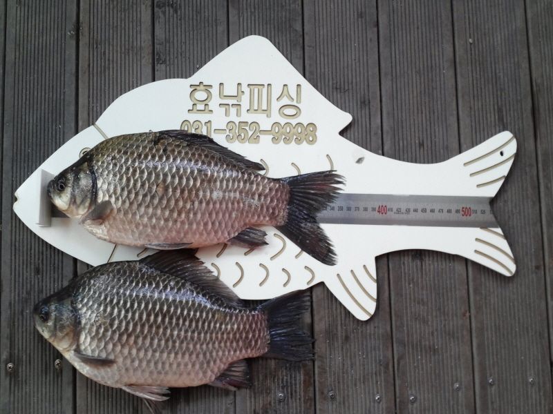 ����5 023.jpg