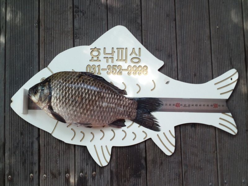 ����5 015.jpg