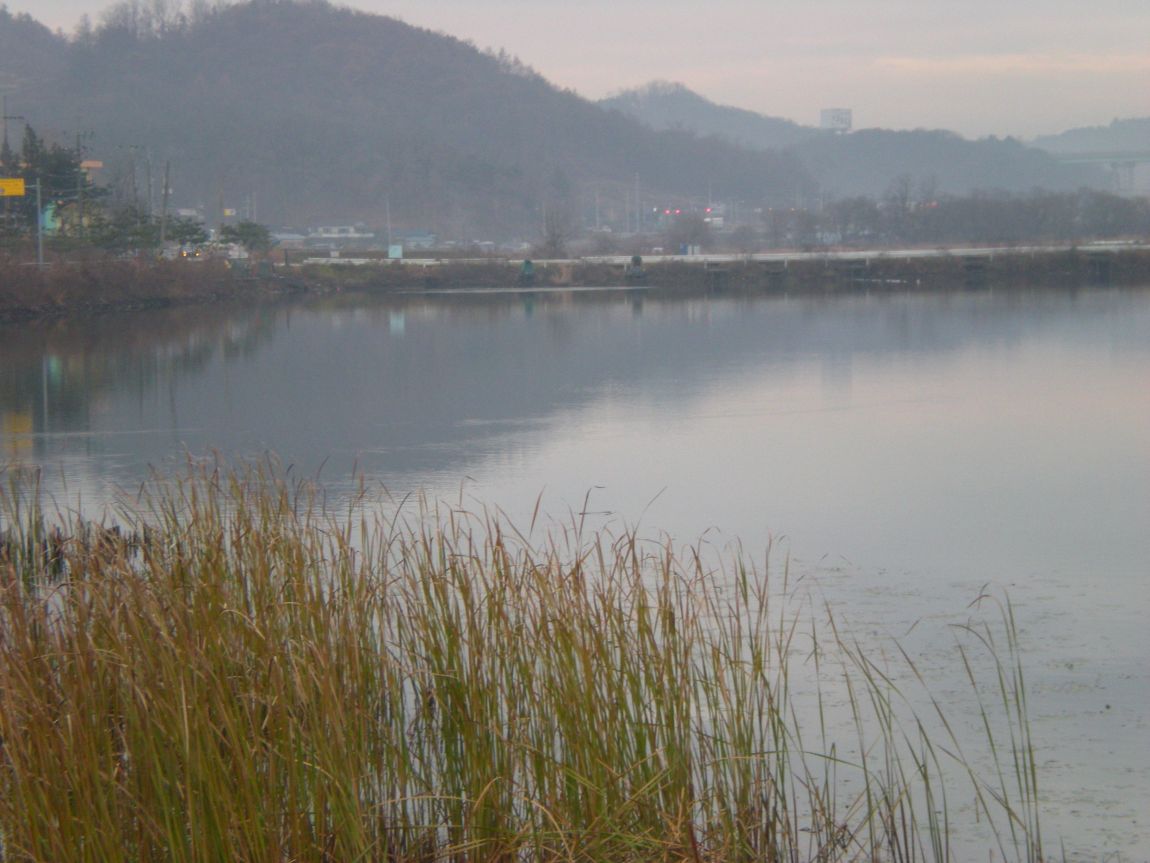 DSCN2768.JPG