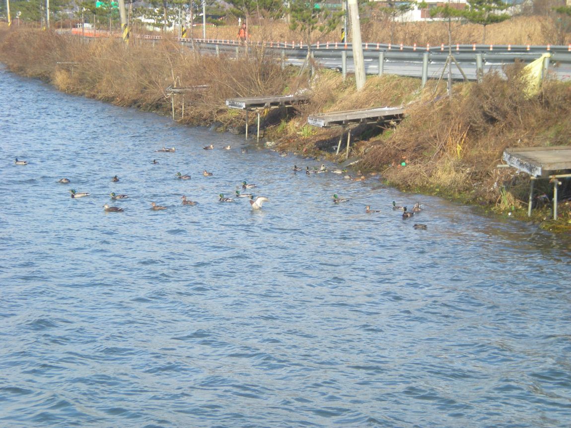 DSCN2843.JPG