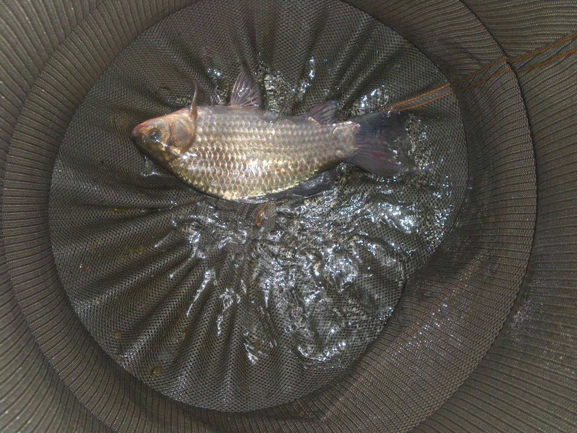 DSCN2928.JPG