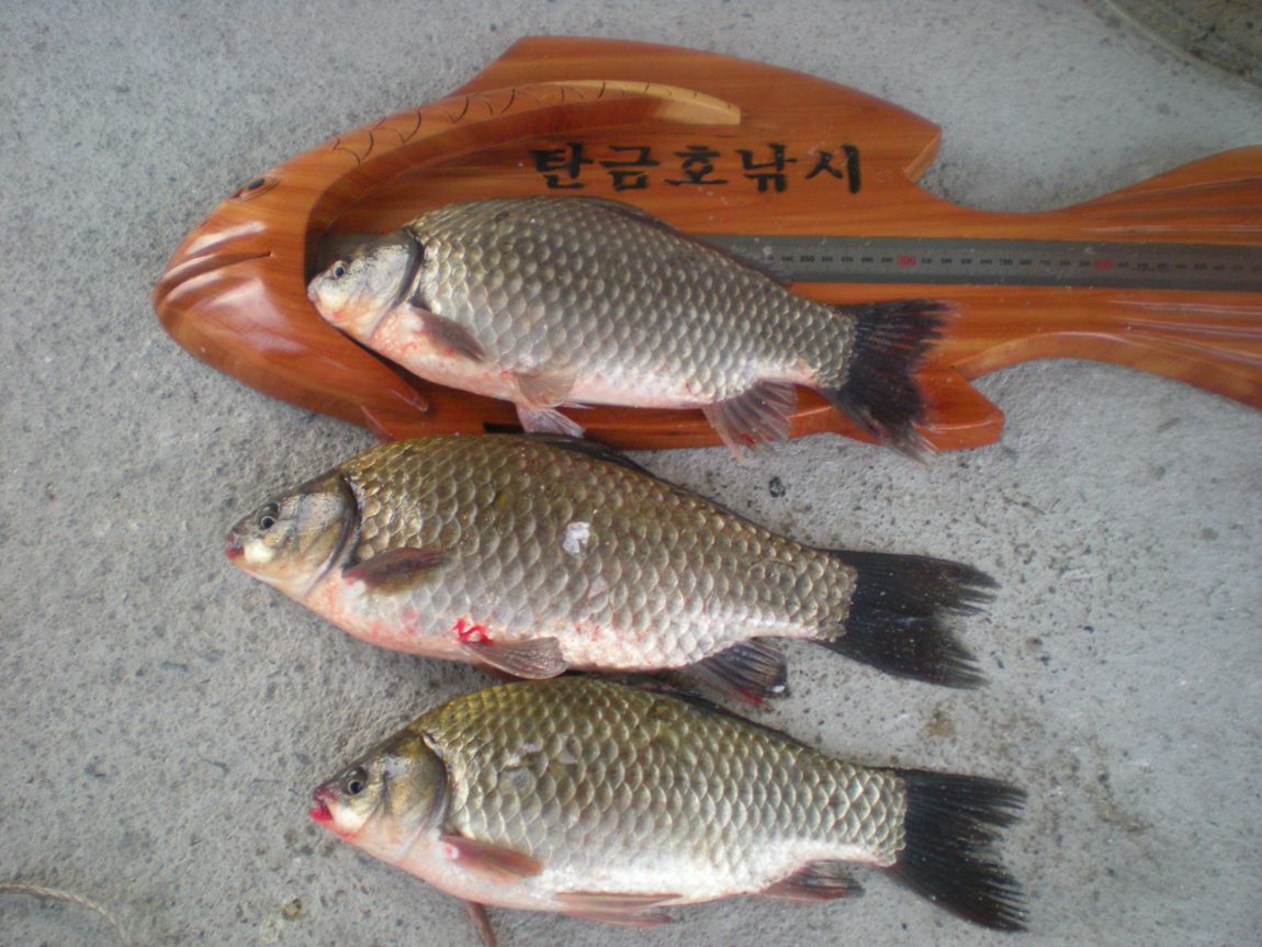 DSCN2936.JPG