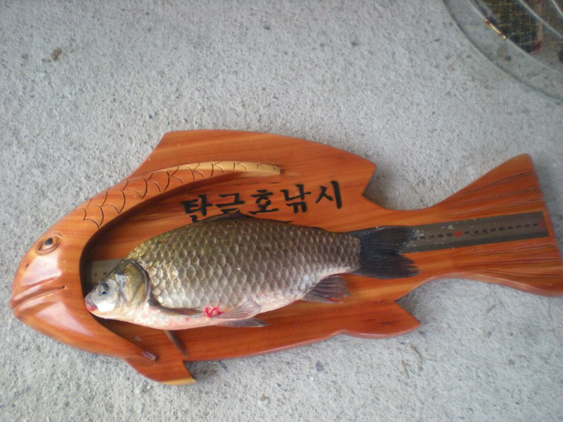 DSCN2934.JPG
