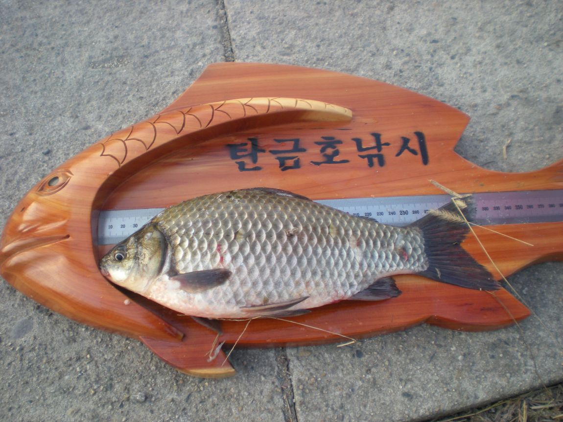 DSCN2943.JPG