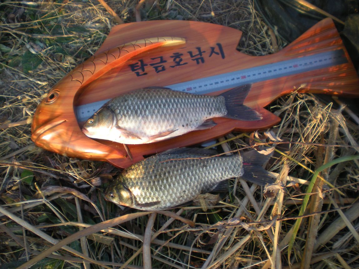 DSCN2951.JPG