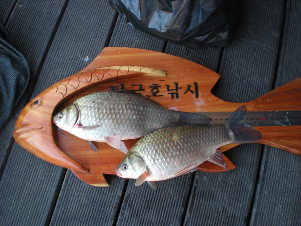 DSCN2953.JPG