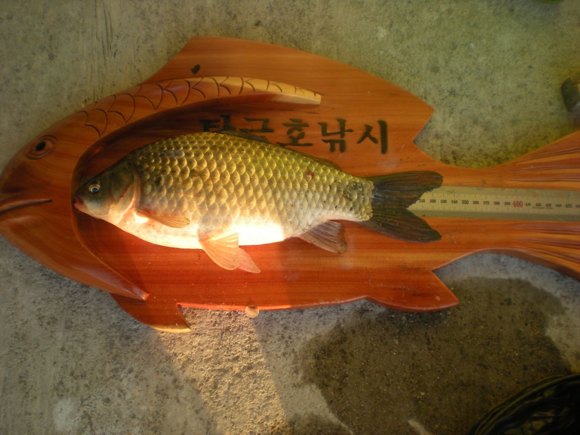 DSCN2956.JPG