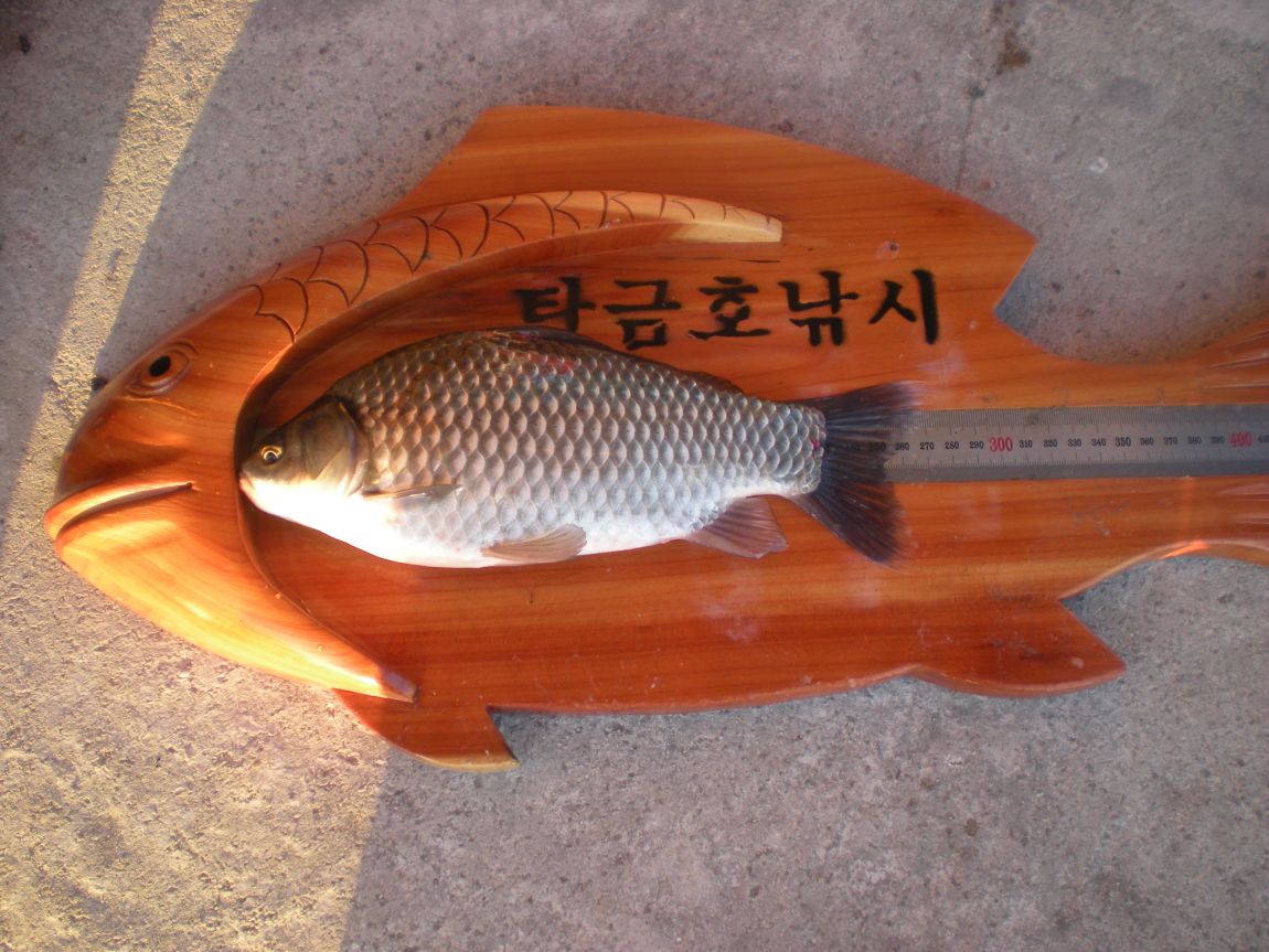 DSCN2959.JPG