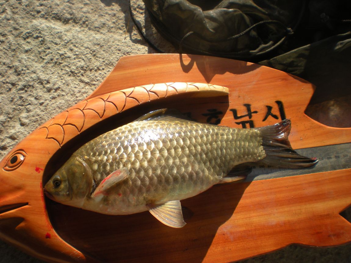 DSCN3010.JPG