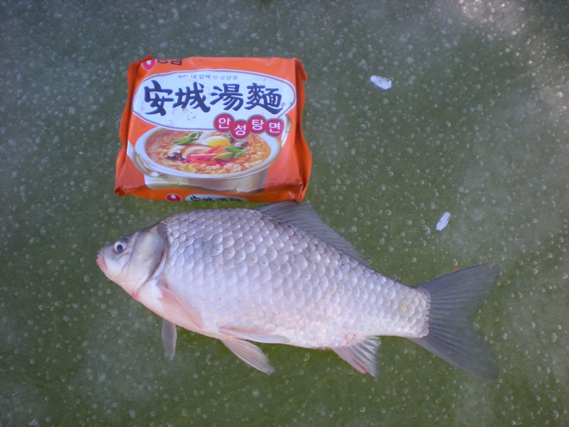 DSCN3040.JPG