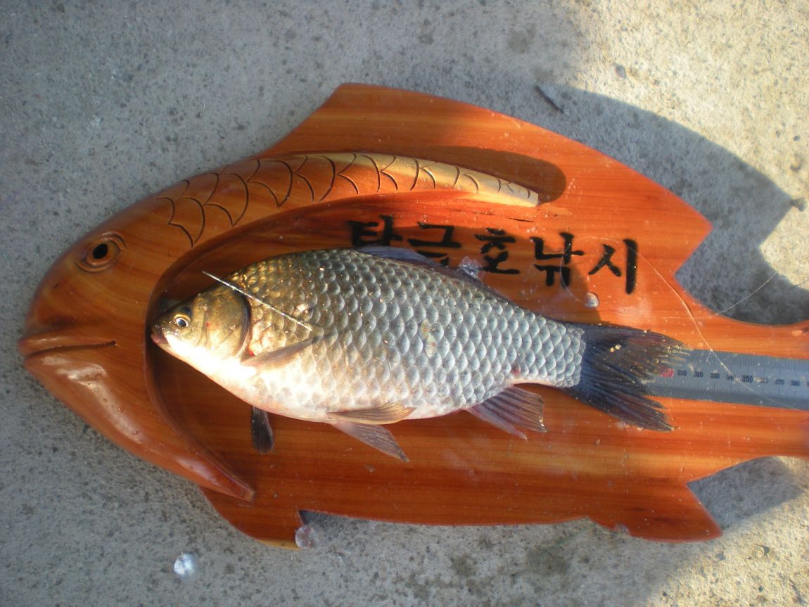 DSCN3048.JPG