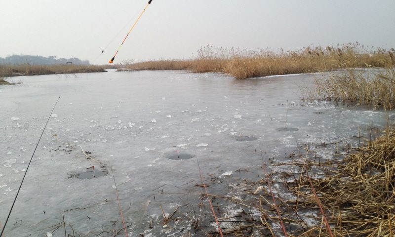 �Ź��� 12-29 001.jpg