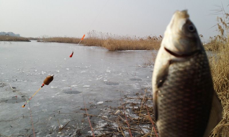 �Ź��� 12-29 002.jpg