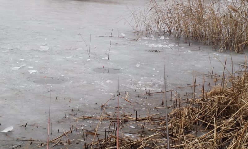 �Ź��� 12-29 004.jpg