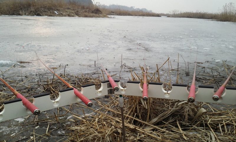 �Ź��� 12-29 003.jpg