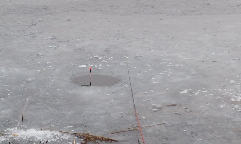 �Ź��� 12-29 005.jpg