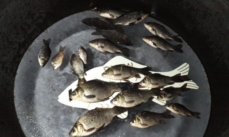 �Ź��� 12-29 006.jpg