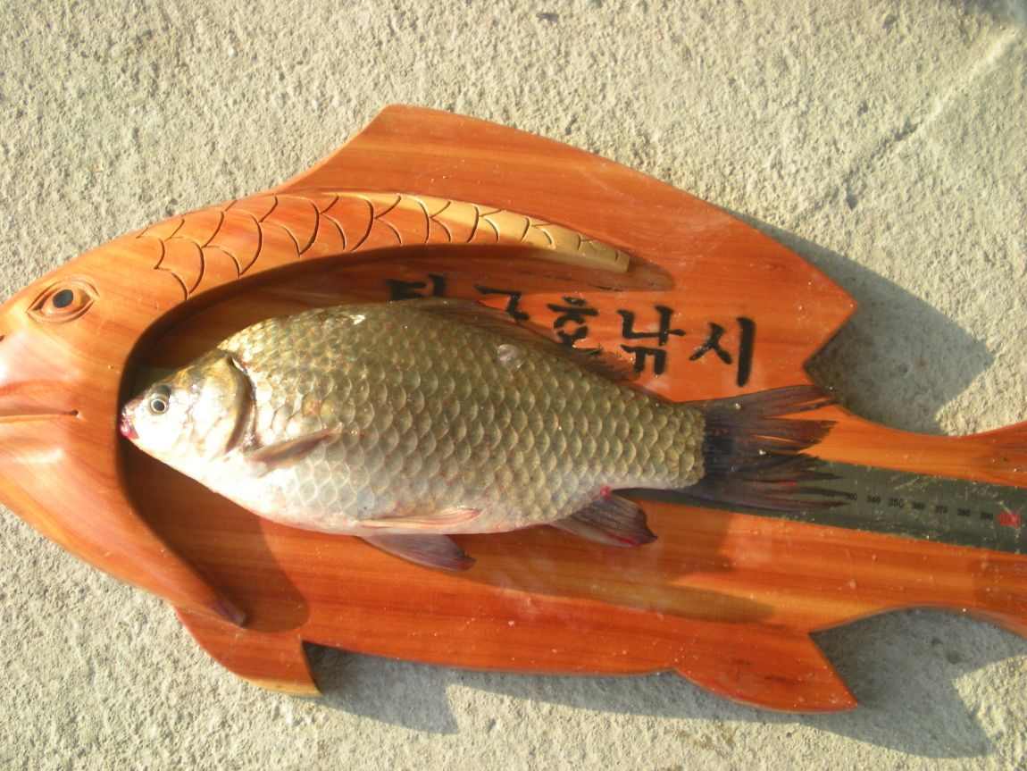 DSCN3045.JPG