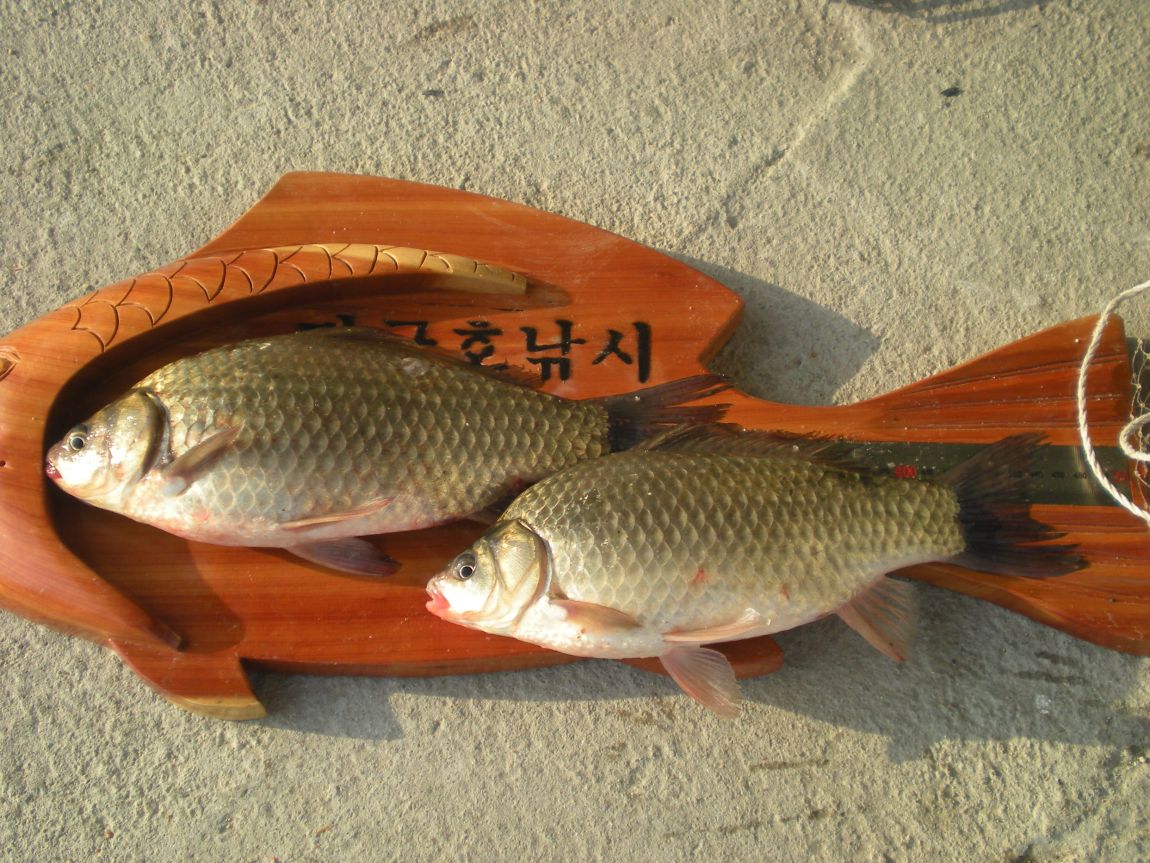 DSCN3044.JPG