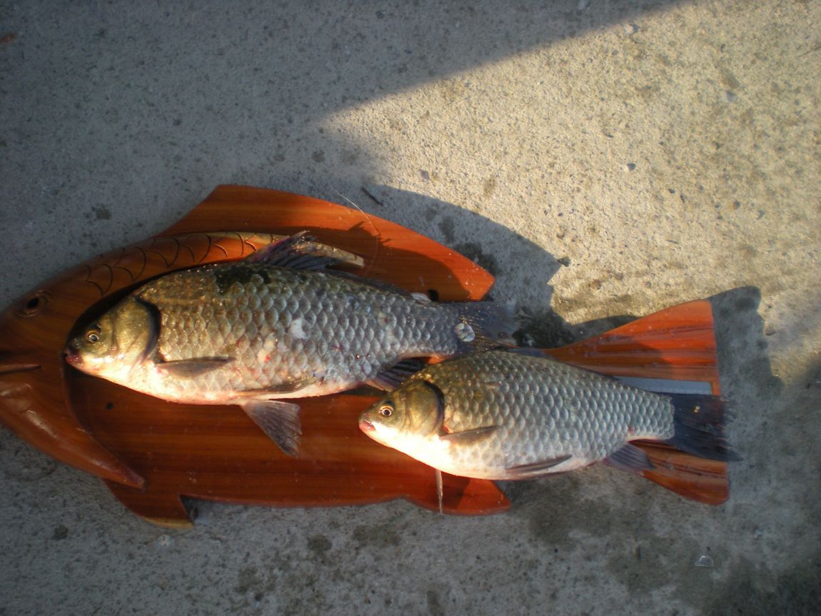 DSCN3049.JPG