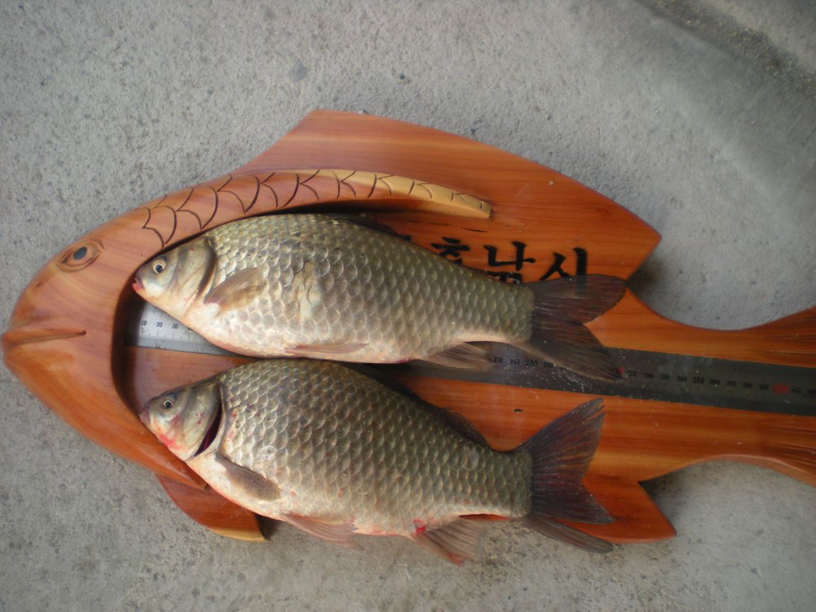 DSCN3058.JPG