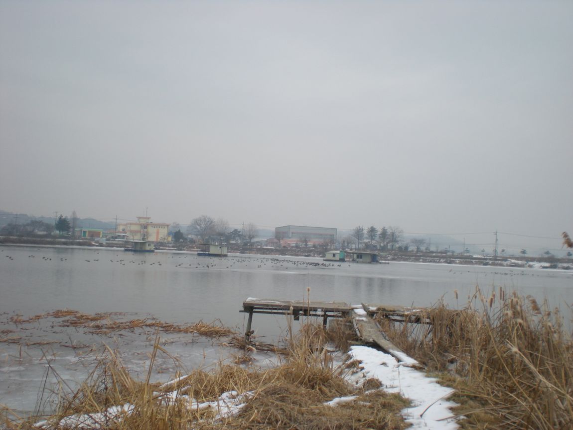 DSCN3067.JPG