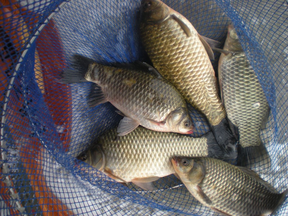 DSCN3075.JPG