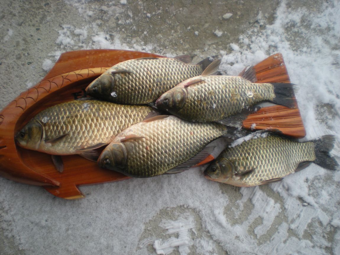 DSCN3080.JPG