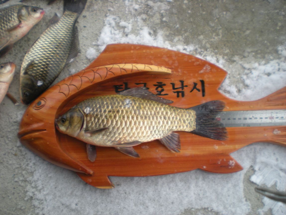 DSCN3078.JPG