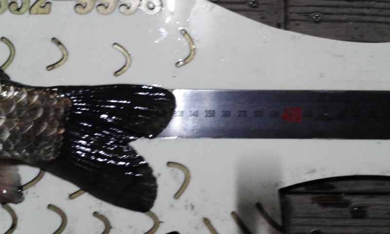 ȭȫȣ 15-1-13�� 002.jpg