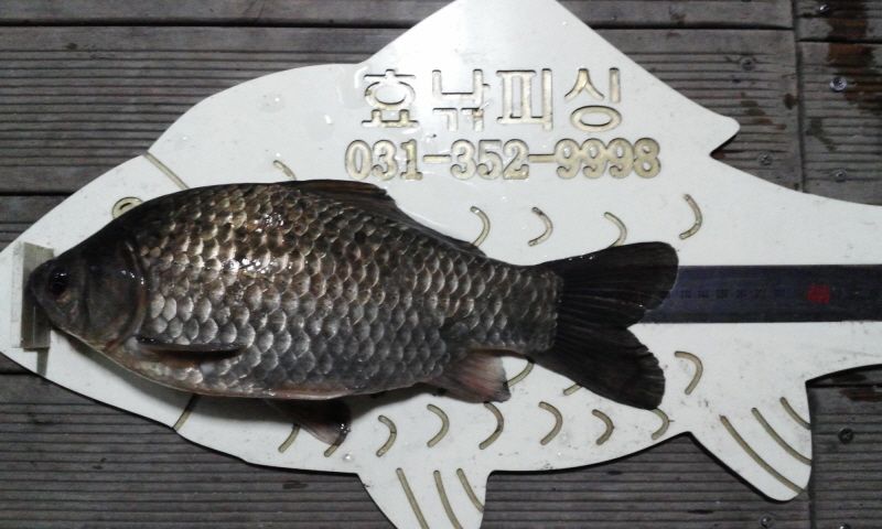ȭȫȣ 15-1-13�� 001.jpg