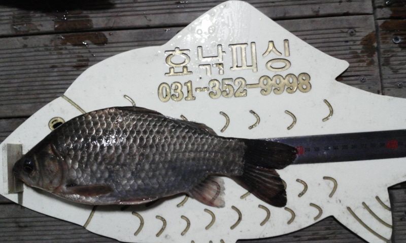 ȭȫȣ 15-1-13�� 006.jpg