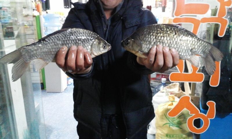 ȭȫȣ 15-1-13�� 012.jpg
