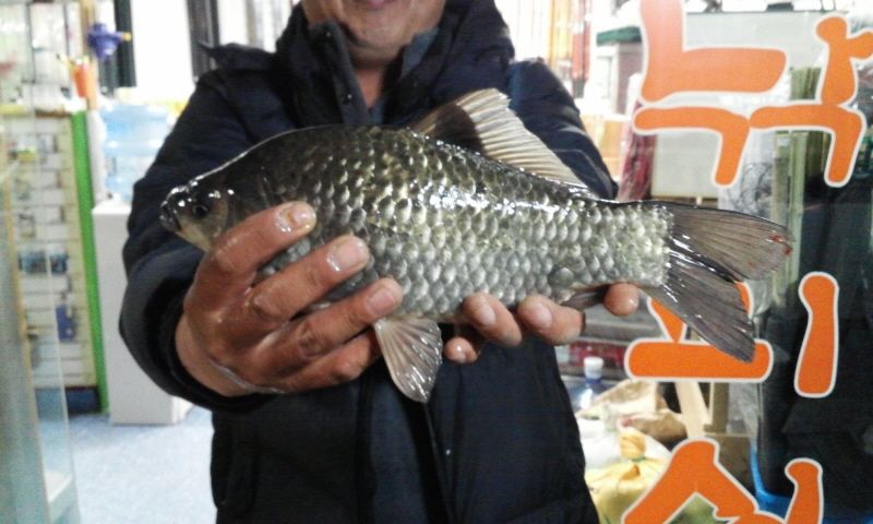 ȭȫȣ 15-1-13�� 013.jpg