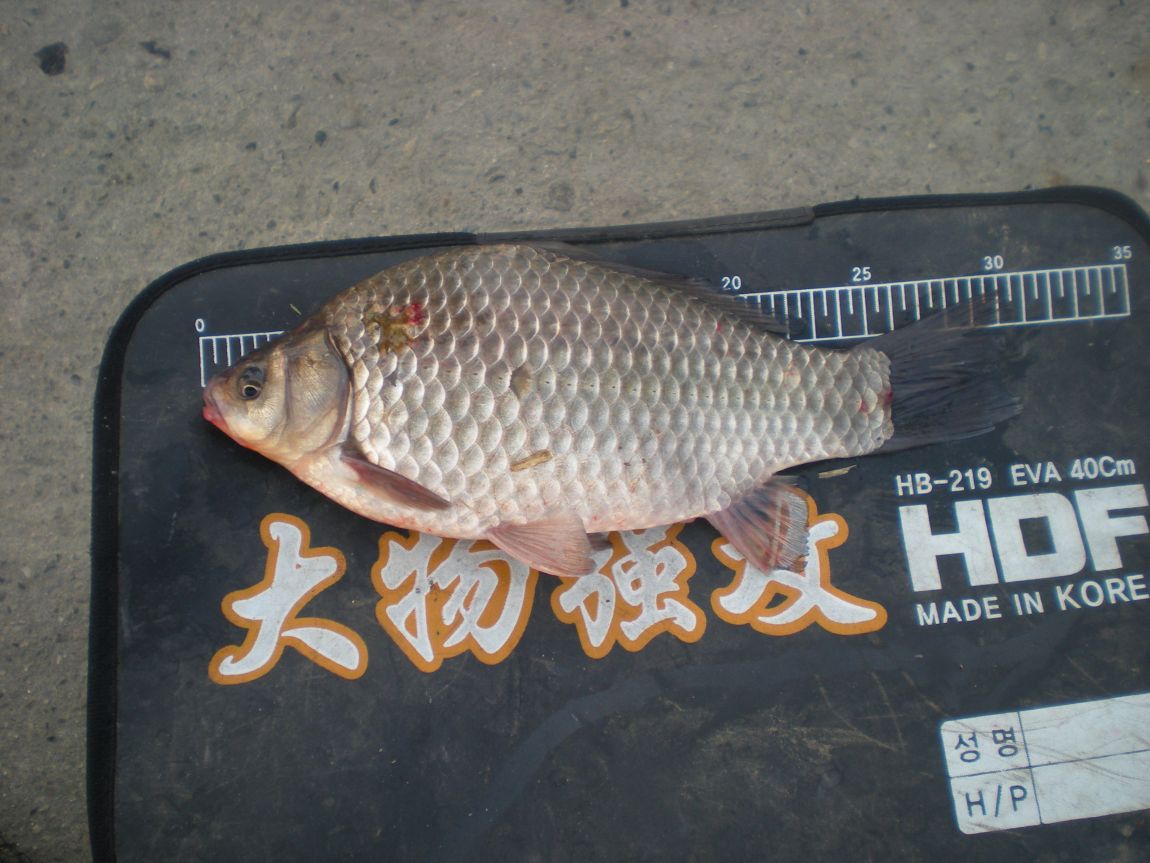 DSCN3176.JPG