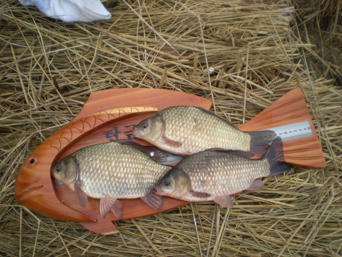 DSCN3162.JPG